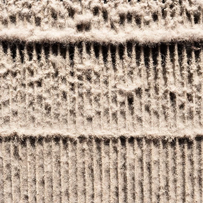 WAdobeStock_269361075 (1)